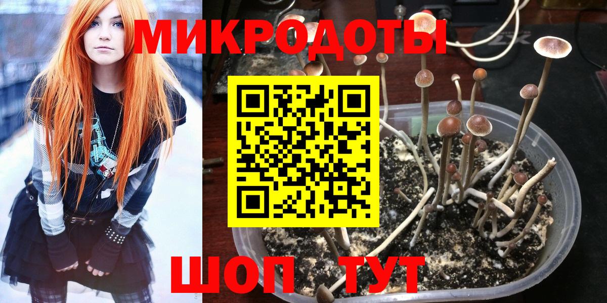 Псилоцибиновые грибы Psilocybine cubensis  Вход с VPN  Будённовск 