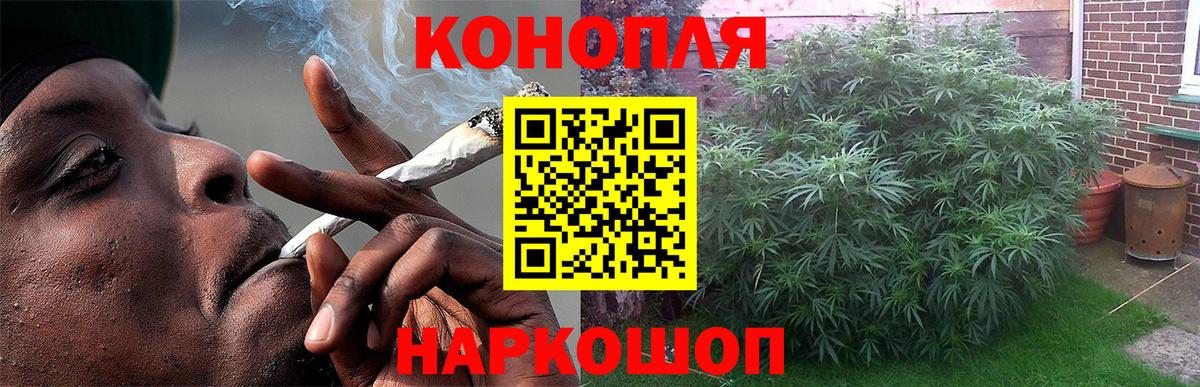 Марихуана конопля  Вход с VPN  Бошки марихуана VHQ  Конопля гибрид  Будённовск 
