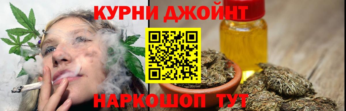 Конопля планчик Будённовск